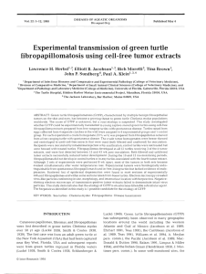 Experimental transmission of green turtle fibropapillomatosis using