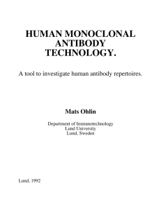 human monoclonal antibody technology.