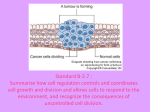 Standard B-2.4 : Explain the process of cell differentiation for the