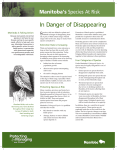 In Danger of Disappearing