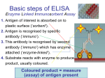 elisa - WordPress.com
