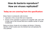 Binary fission and viral reproduction