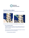 Medial Branch Nerve Blocks