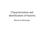 Characterization and identification of bacteria
