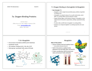 7 oxygen binding protein