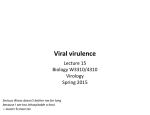 Viral virulence genes