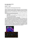 Axon Outgrowth in the Developing Cerebral