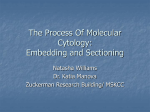 The Process Of Molecular Cytology: Embedding and Sectioning