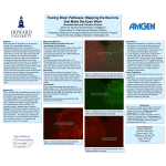 Tracing Brain Pathways: Mapping the Neurons