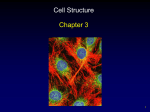Chapter 3 - Cell Structure PPT