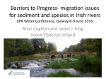 Barriers to Progress- migration issues for sediment and