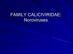 noroviridae - Nexus Academic Publishers