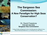 The Sargasso Sea Commission
