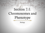 Section 7.1: Chromosomes and Phenotype
