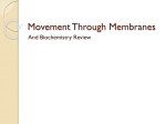 Movement Through Membranes