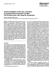 Anterior boundaries of Hox gene expression in mesoderm