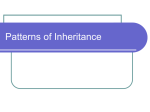 Patterns of Inheritence - School District of La Crosse