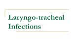 Laryngo-tracheal Infections