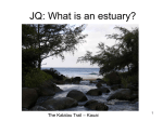 Estuary Powerpoint