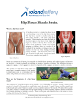 Hip Flexor Muscle Strain. - Roland Jeffery Physiotherapy