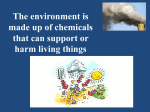 The environment is made up of chemicals that