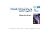 Conference Opening Address: Plasticity of the Auditory System