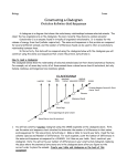 ws: Constructing a Cladogram