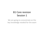 B1 Core revision