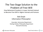 Bob Doyle Information Philosopher