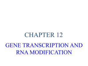 gene transcription and rna modification