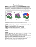 Enzyme Activity - Model High School