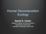 Human Decomposition Ecology