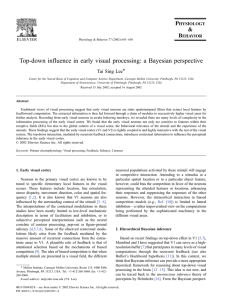 Top-down influence in early visual processing: a Bayesian perspective