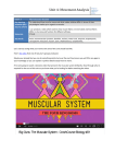 unit 4.1 Neuromuscular Function