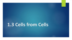 1.3 Cells from Cells