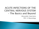 Acute and Chronic Infections of the CNS