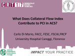 collateral flow index (CFI).