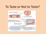 To Taste or Not to Taste?