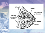 Maternal Medications - American Academy of Pediatrics