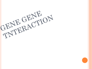 GENE GENE INTERACTION DOMINANCE