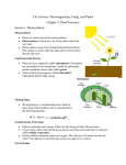 Chapter 5 Notes