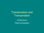 Translocation and Transpiration