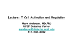 Lecture: T Cell Activation and Regulation