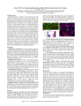 1 to enlarge population of stem cell-like cells from skeletal muscle