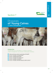 Diseases of Young Calves