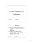 The IP, TCP, UDP protocols - FSU Computer Science