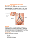 Aorta Bifemoral Bypass Patient Care Guide What is hardening of the