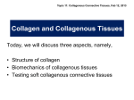 Collagen and Collagenous Tissues