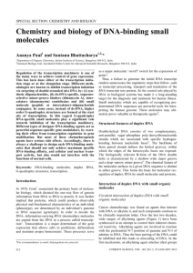 Chemistry and biology of DNA-binding small