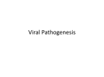 Viral Pathogenesis